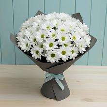 Букет цветов из:  Хризантемы #REPLACE_PRED# Марьино
