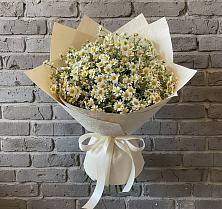 Букет цветов из:  Ромашки #REPLACE_PRED# Марьино