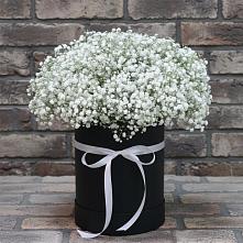 Цветочная композиция из Гипсофила в шляпной коробке в Марьино